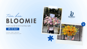Lẵng hoa - Tiệm hoa Bloomie