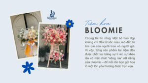 kệ hoa khai trương